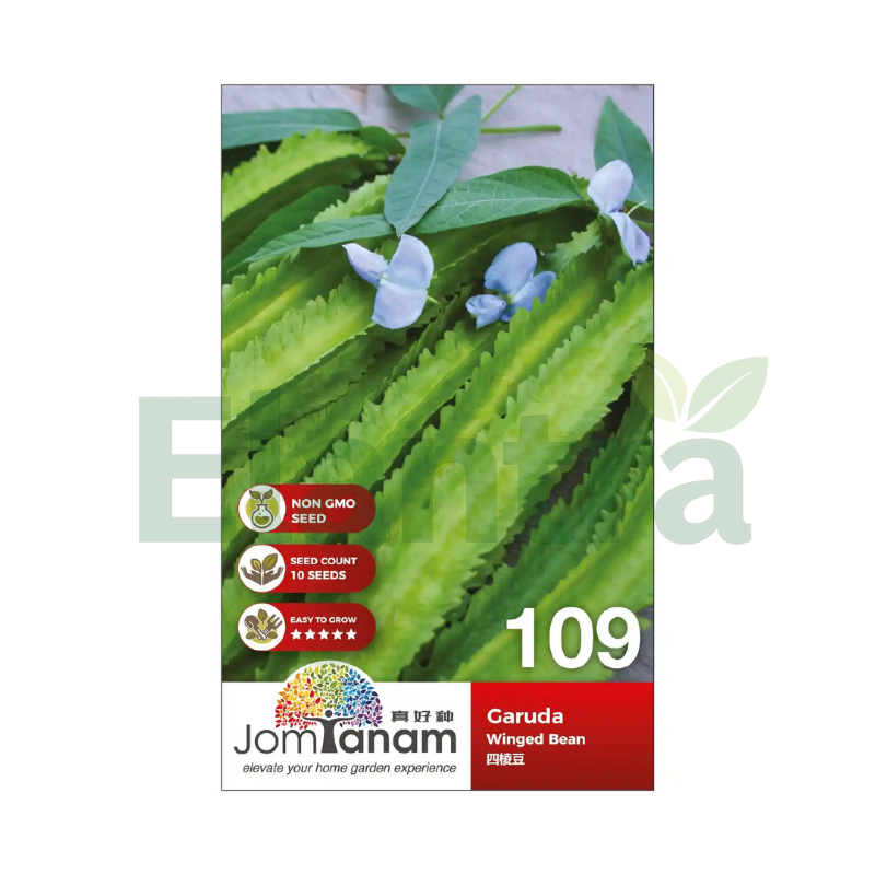109 WINGED BEAN